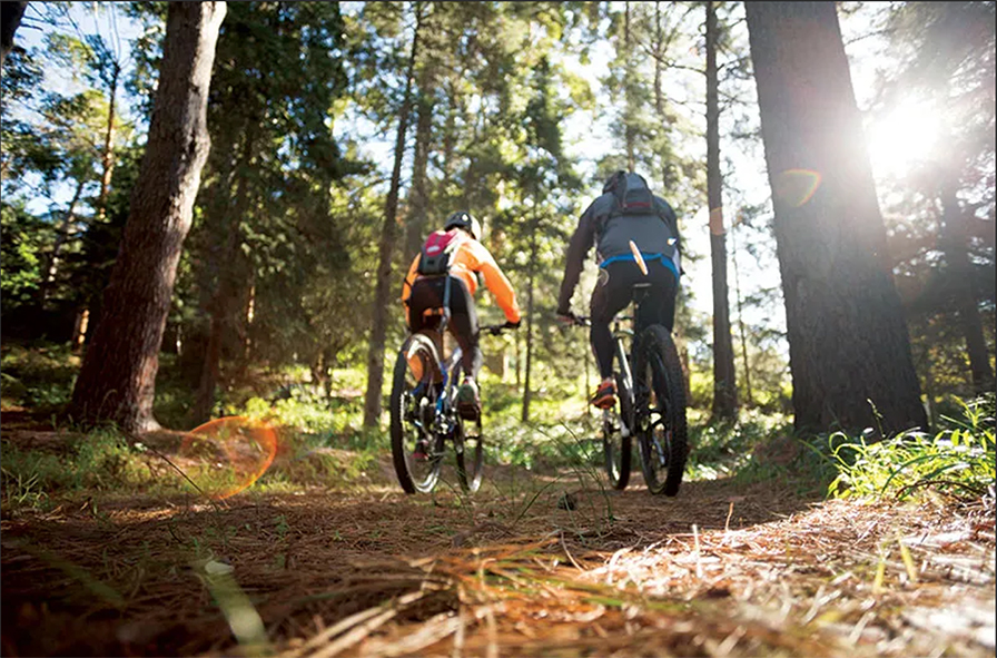 MOUNTAIN BIKE TOURS***